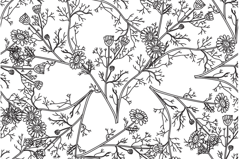 line-art-botanical-seamless-floral-pattern-with-flowers-chamomile-vect