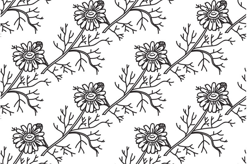 line-art-botanical-seamless-floral-pattern-with-flowers-chamomile-vect