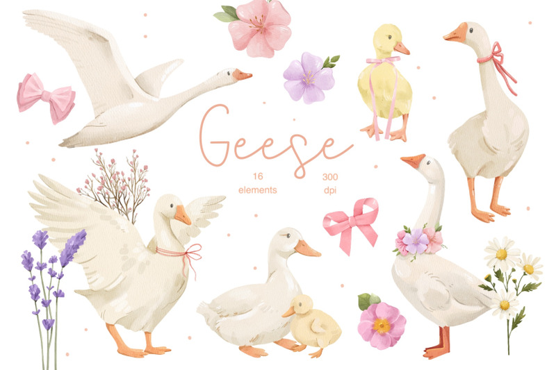 mini-watercolor-birds-bundle