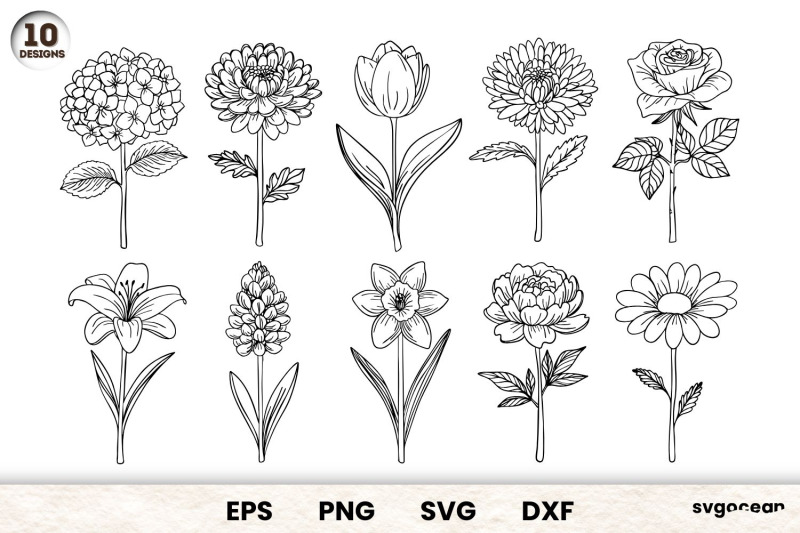 flowers-svg-bundle