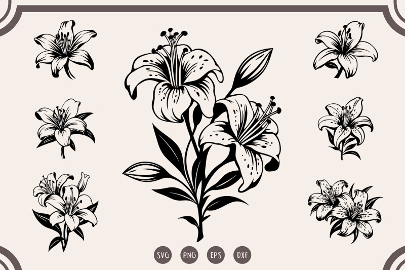 lily-svg-bundle-lily-flower-svg-lily-cut-file-svg