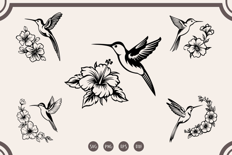 hummingbird-with-hibiscus-bundle-svg-hummingbird-flower-svg