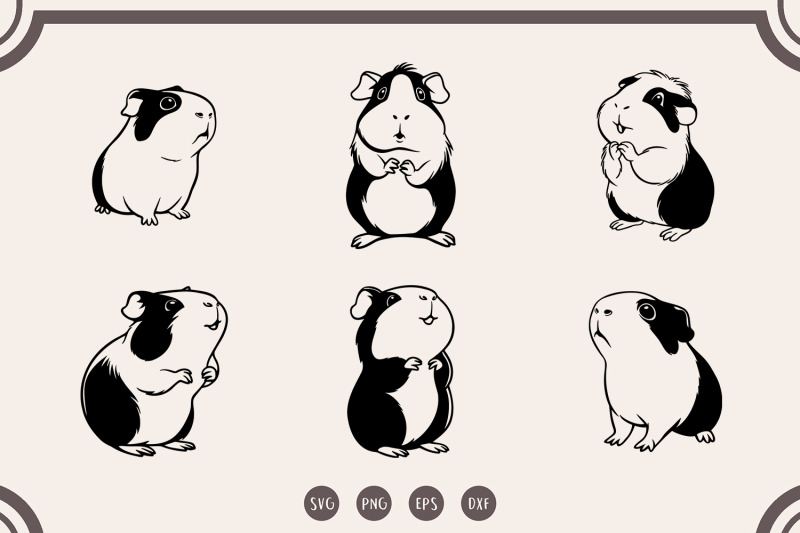 guinea-pig-svg-guinea-pig-svg-bundle-guinea-pig-clipart