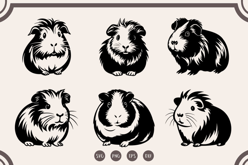 guinea-pig-svg-guinea-pig-svg-bundle-guinea-pig-clipart