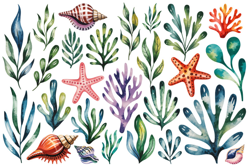 watercolor-sea-shells-amp-coral-clipart-set-140-png