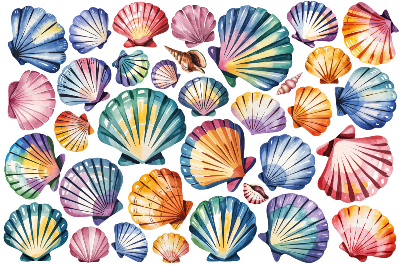 watercolor-sea-shells-amp-coral-clipart-set-140-png