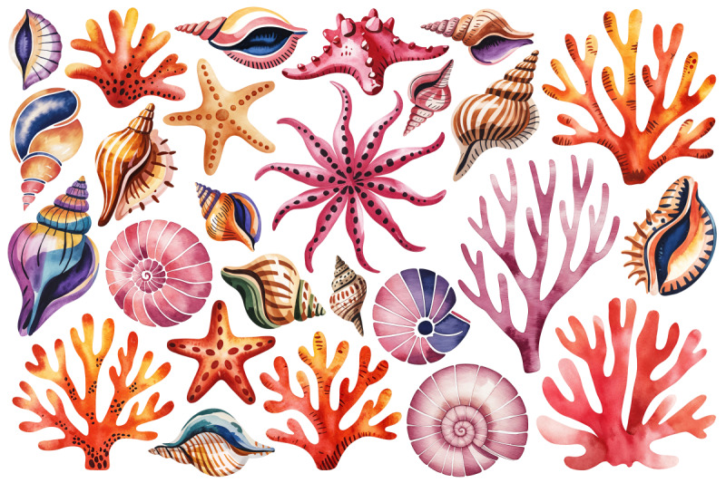 watercolor-sea-shells-amp-coral-clipart-set-140-png