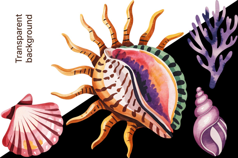 watercolor-sea-shells-amp-coral-clipart-set-140-png