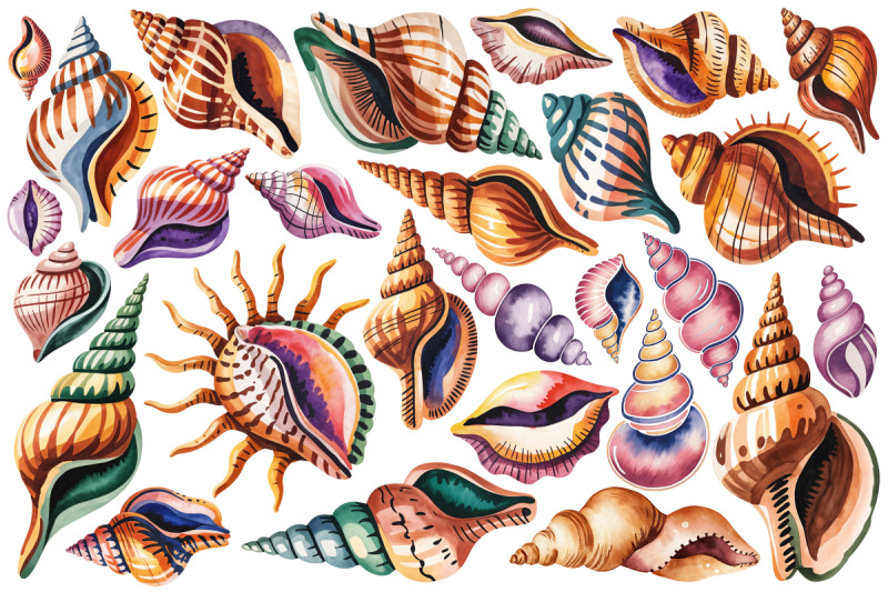 watercolor-sea-shells-amp-coral-clipart-set-140-png