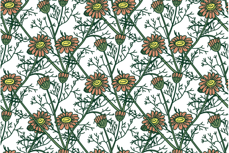 botanical-floral-seamless-pattern-with-daisy-flowers-vector-illustrati