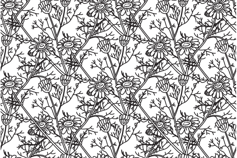 line-art-botanical-seamless-floral-pattern-with-daisy-flowers-vector