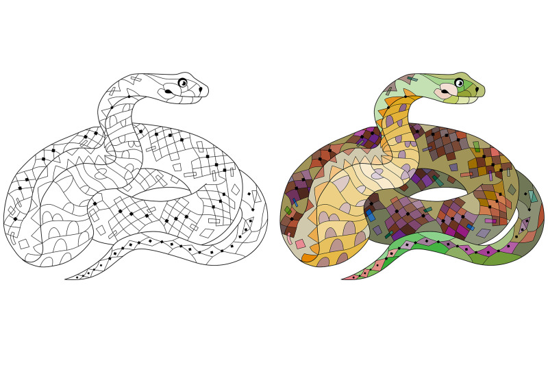 decorative-snakes-for-coloring