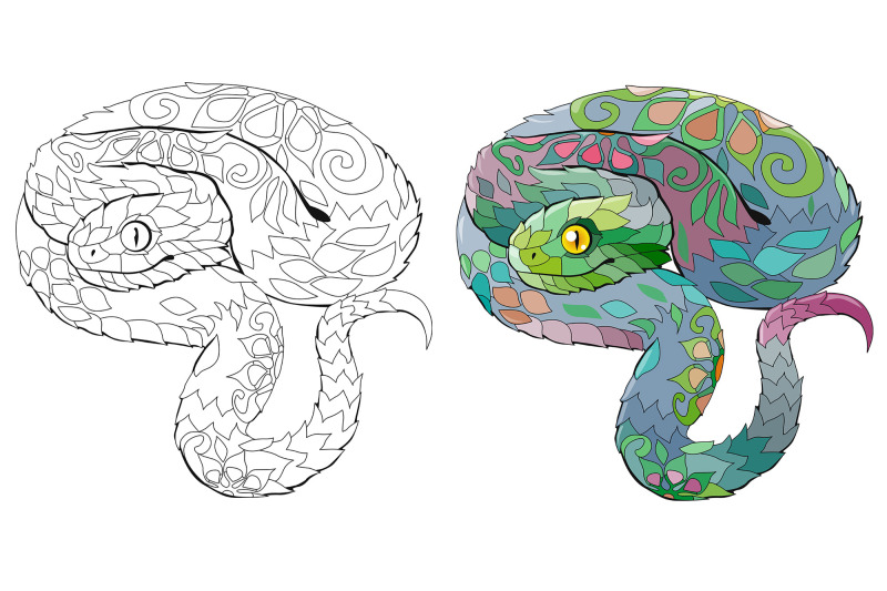 decorative-snakes-for-coloring