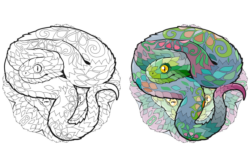 decorative-snakes-for-coloring