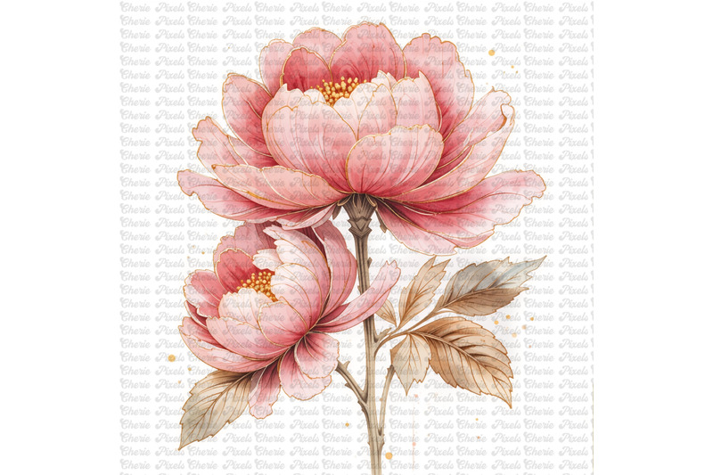 11-blush-pink-gold-peonies-flowers-watercolor-clipart-bundle-wedding