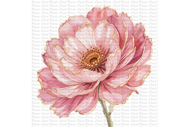 11-blush-pink-gold-peonies-flowers-watercolor-clipart-bundle-wedding
