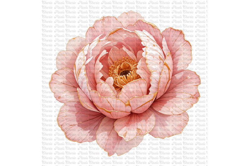 11-blush-pink-gold-peonies-flowers-watercolor-clipart-bundle-wedding