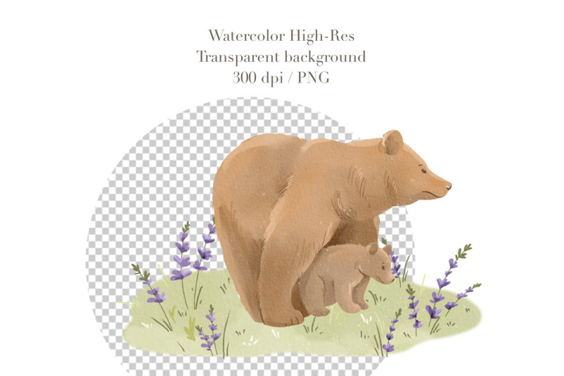 watercolor-grizzly-bears-clipart