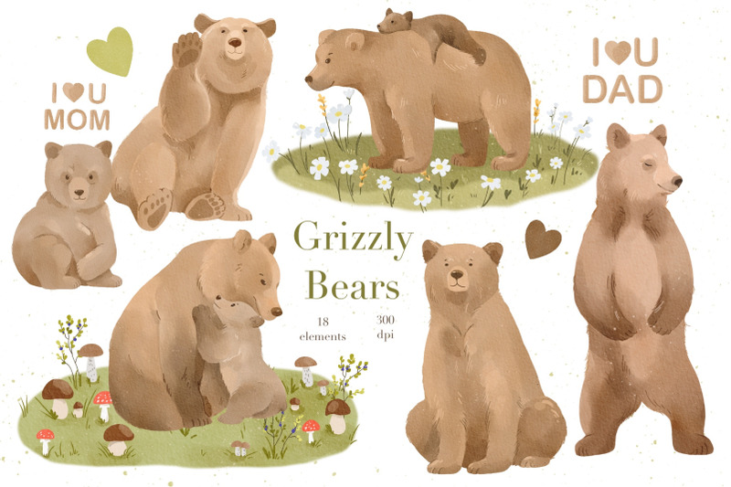 watercolor-grizzly-bears-clipart