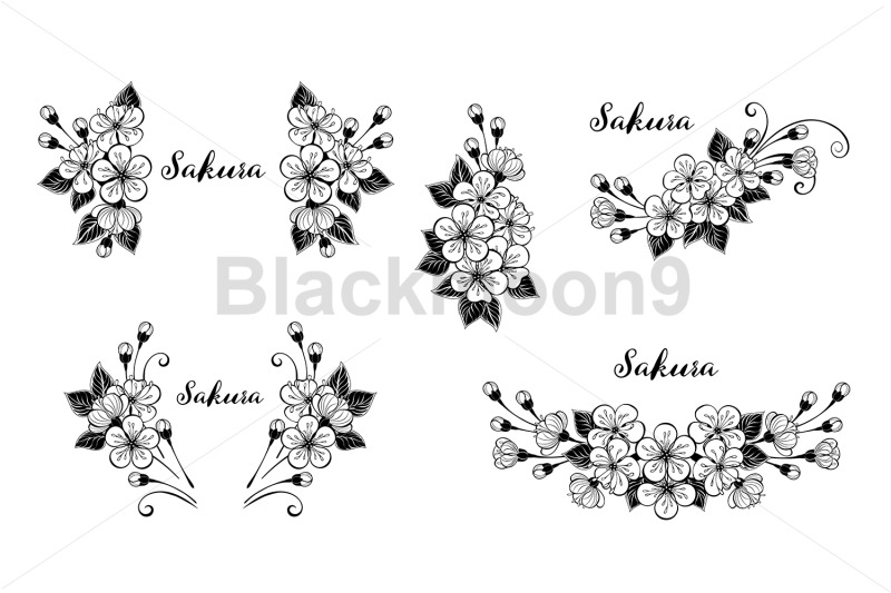 contour-sakura-design-element
