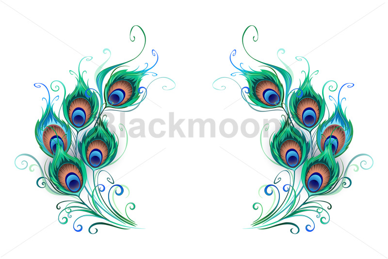 green-peacock-feathers-composition