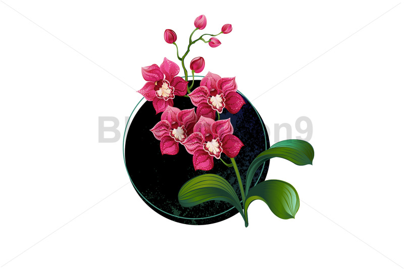 pink-orchid-in-circle