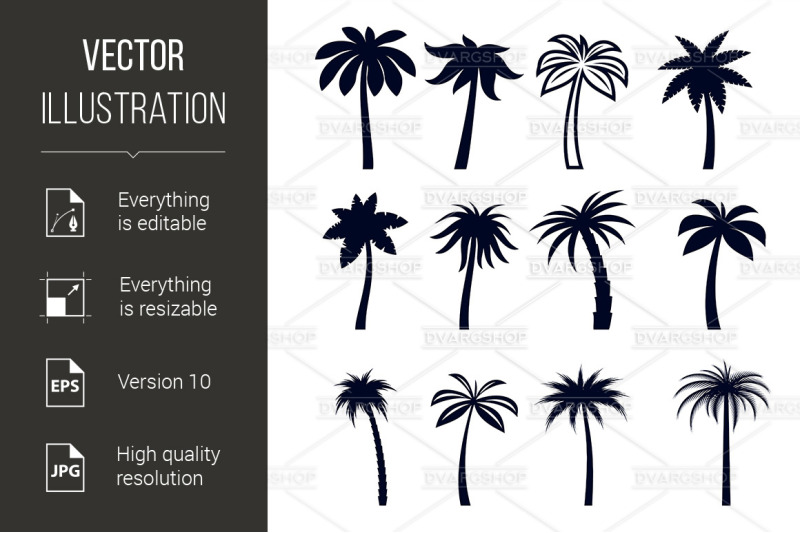 tropical-palm-trees