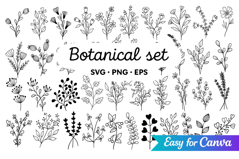botanical-line-art-clipart
