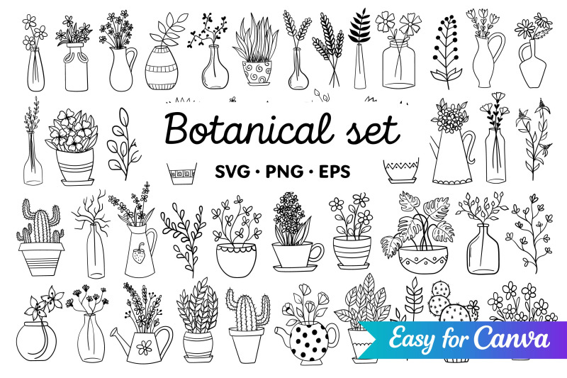 botanical-line-art-clipart