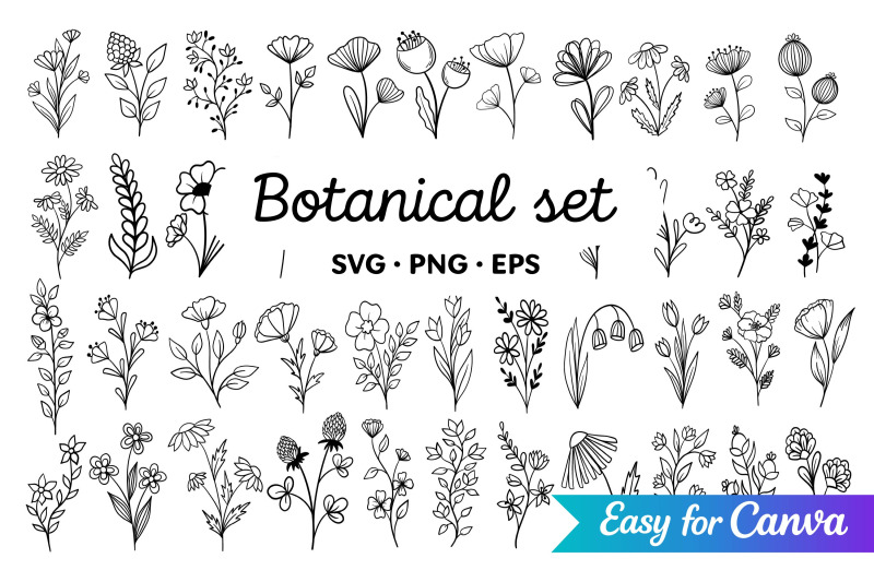 botanical-line-art-clipart