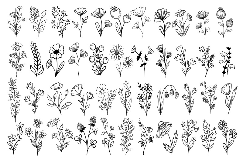 botanical-line-art-clipart
