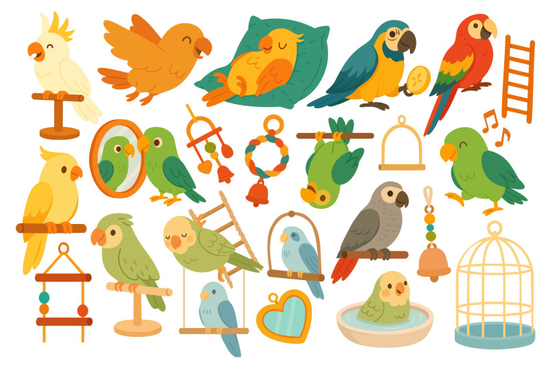 funny-parrots-and-accessories-clipart