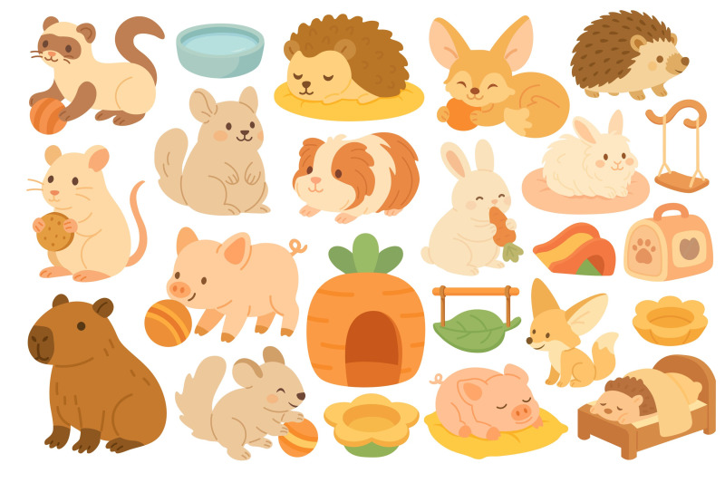 cute-exotic-pets-and-accessories-clipart