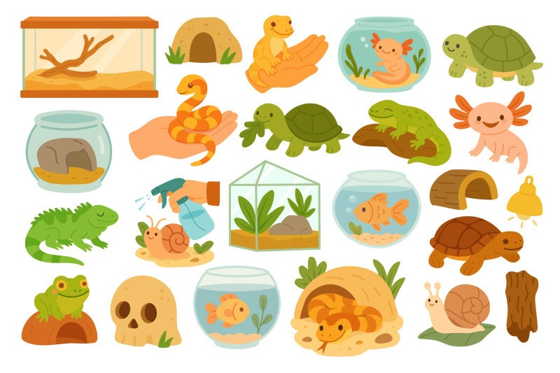 terrarium-animals-and-accessories-clipart