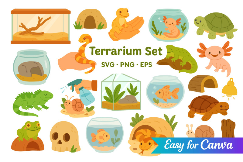 terrarium-animals-and-accessories-clipart