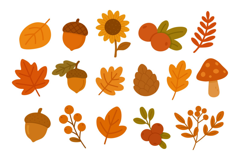 autumn-leaves-and-forest-elements