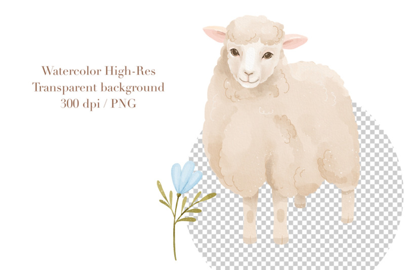 watercolor-pastel-sheep-clipart