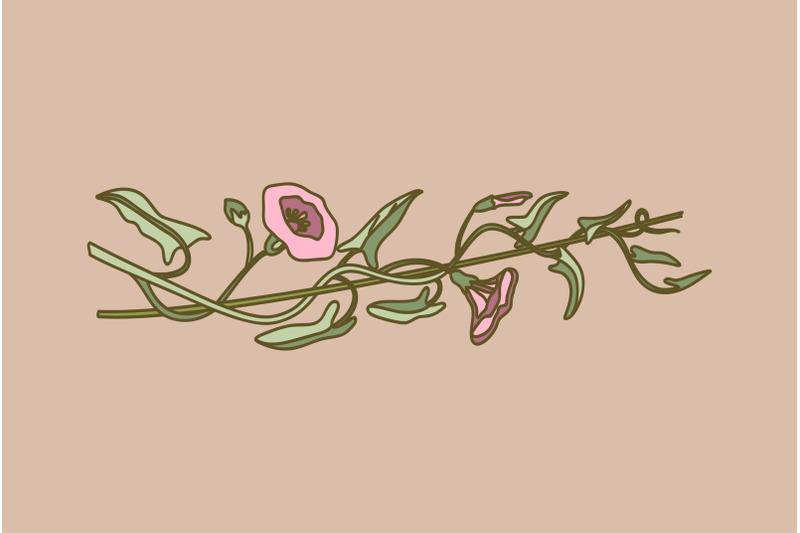 botanical-floral-horizontal-border-isolated-on-beige-background-hand