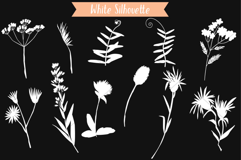 white-wild-flowers-hand-drawn-meadow-plants-leaves-fern