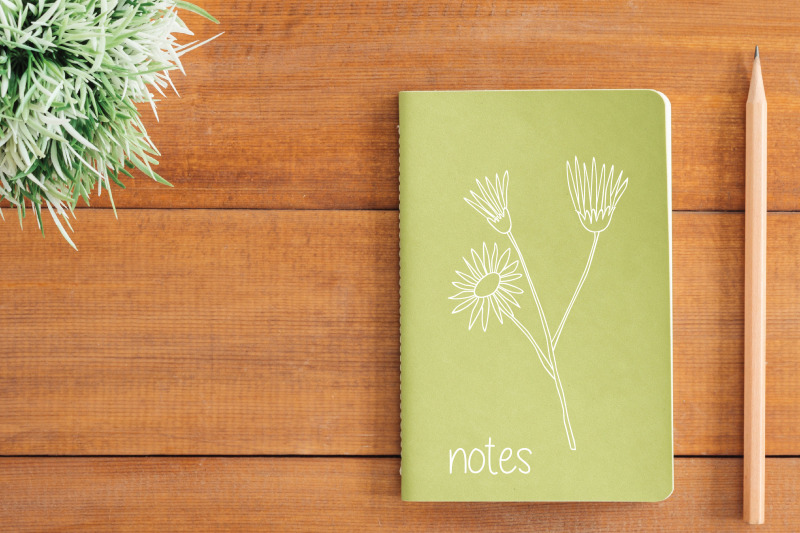white-wild-flowers-hand-drawn-meadow-plants-leaves-fern