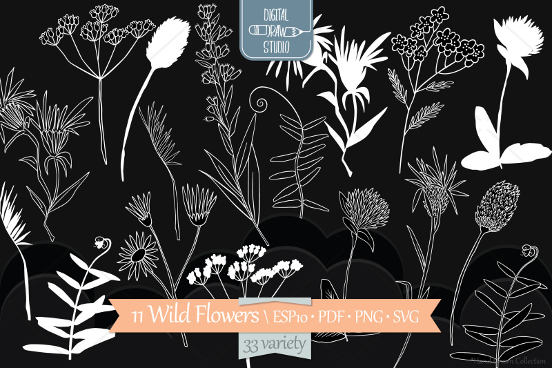 white-wild-flowers-hand-drawn-meadow-plants-leaves-fern