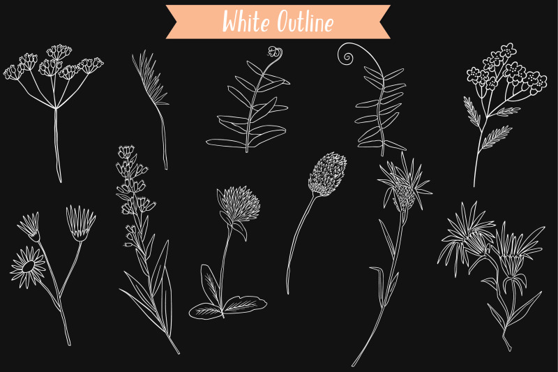 white-wild-flowers-hand-drawn-meadow-plants-leaves-fern