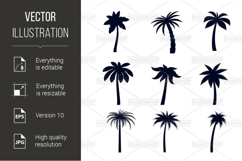 tropical-palm-trees