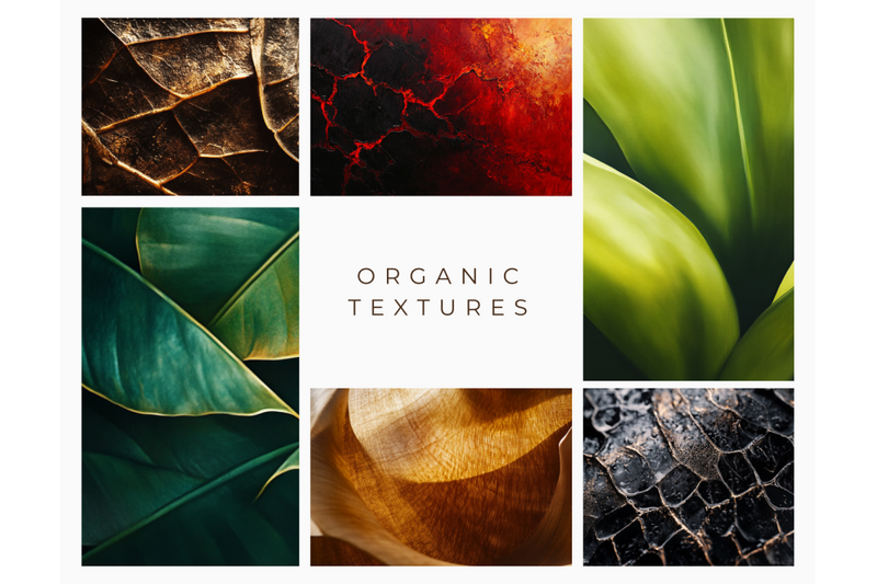 209-organic-textures