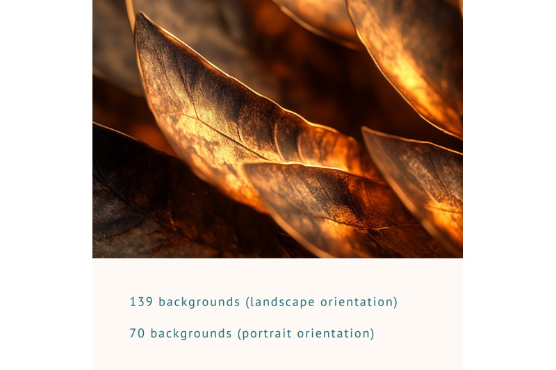 209-organic-textures