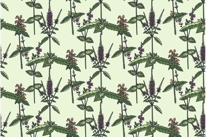 botanical-floral-seamless-pattern-with-wildflowers-vector-illustration