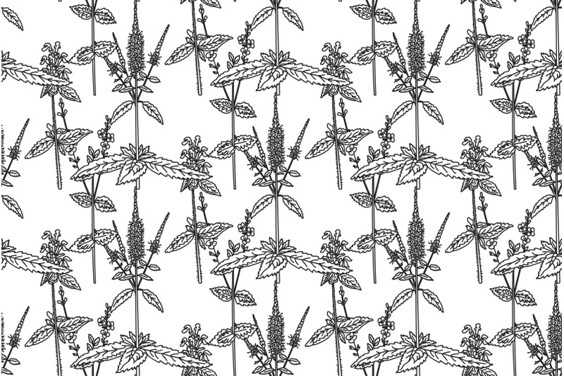 line-art-botanical-floral-seamless-pattern-with-wildflowers-vector-ill