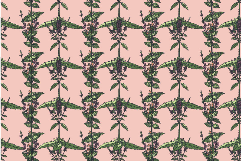 botanical-floral-seamless-pattern-with-wildflowers-vector-illustration