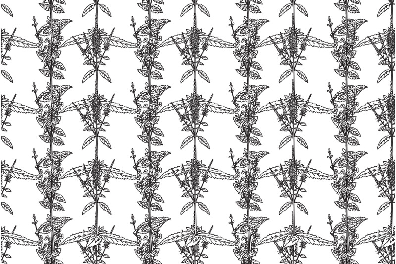 line-art-botanical-floral-seamless-pattern-with-wildflowers-vector