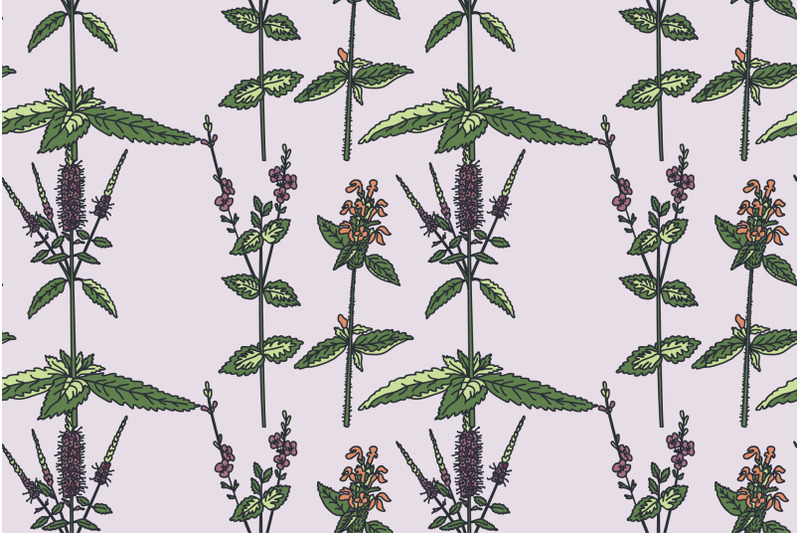 botanical-floral-seamless-pattern-with-wildflowers-vector-illustration